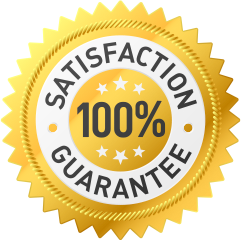 satis100.png